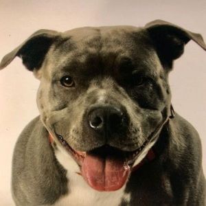 Meet your Posher, Delia